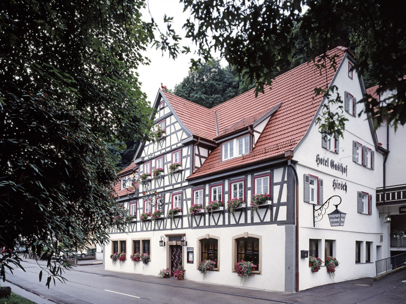 Hirsch